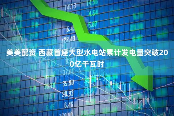 美美配资 西藏首座大型水电站累计发电量突破200亿千瓦时