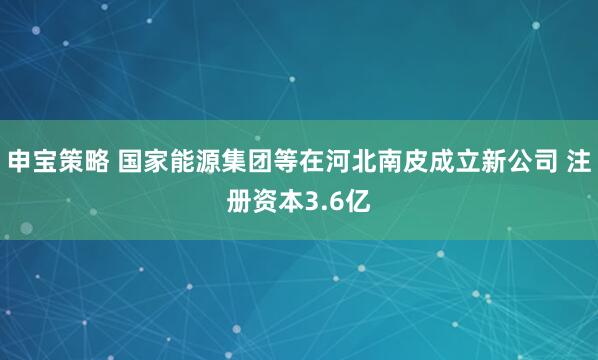 申宝策略 国家能源集团等在河北南皮成立新公司 注册资本3.6亿