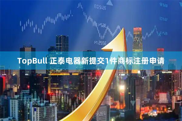 TopBull 正泰电器新提交1件商标注册申请