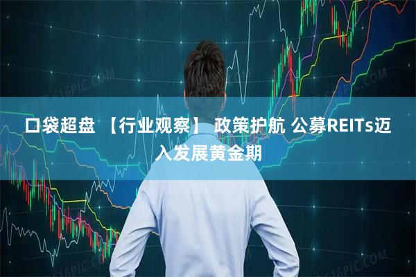 口袋超盘 【行业观察】 政策护航 公募REITs迈入发展黄金期